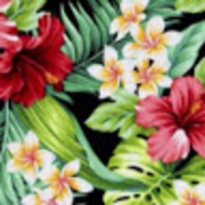 Meet your Posher, Kathryn